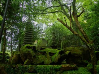 鶴林寺の庭園