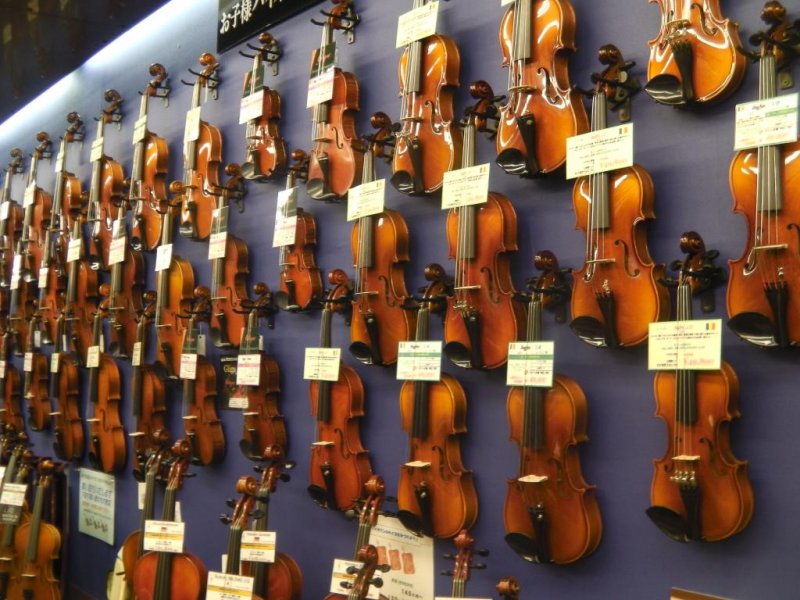 Anyone know where I can buy a violin?!
