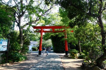 Torii Gate upon entrance