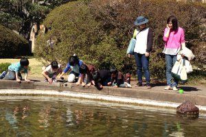 Ibu-ibu muda dan anak-anak mereka sedang bersenang-senang melihat ikan di kolam universitas