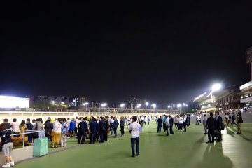 People gather in front of the track as the race time nears. All are hoping to get a good view when the troop of horses fly by