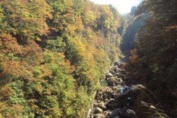 Changing colors of fall. View from the top of the ravine.