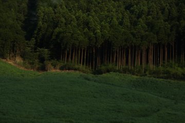 Entre las colinas de Hakone