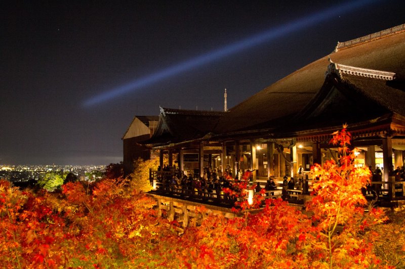 The lit up autumn leaves makes it look as if Kiyomizudera sits in a sea of fire 