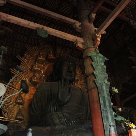 Big Buddha's Legacy in Nara