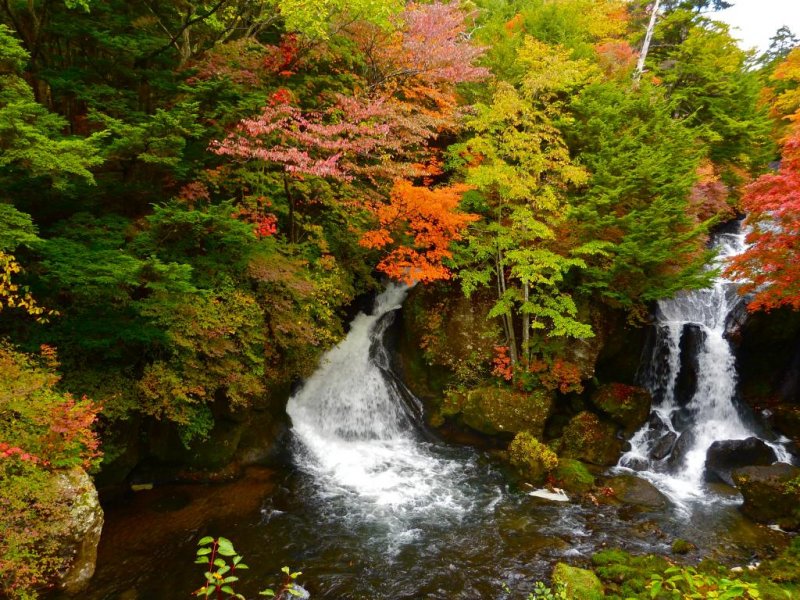 Burning reds, cool yellows and dark greens surround the falls