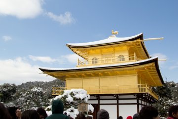 ภาพระยะใกล้ของสีทองอร่ามกับหิมะสีขาว และฉากหลังของท้องฟ้าสดใส