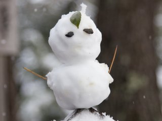 People made adorable little snowmen along the paths