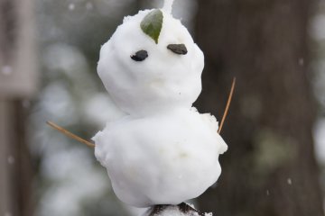 People made adorable little snowmen along the paths