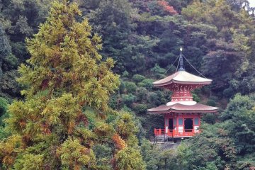 Еще одна пагода на территории Манган-дзи
