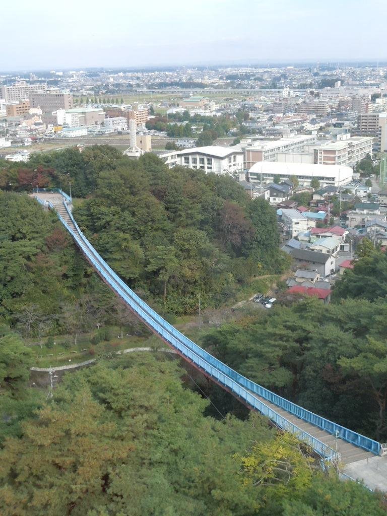 The suspension bridge, photographed from the tower