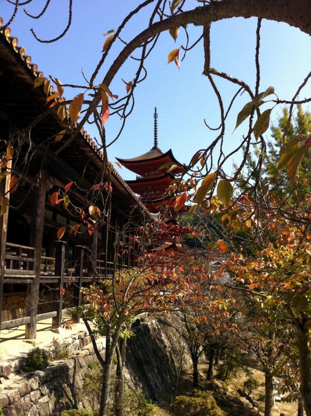 Senjo-kaku and Goju-no-to Pagoda