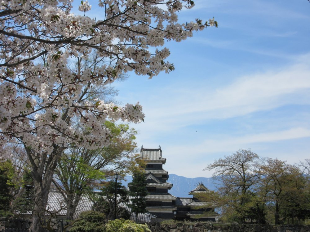 Замок Мацумото весной