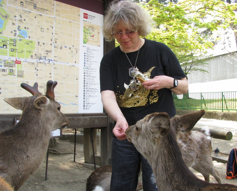 Rusa di Nara sangat mengagumkan dan saya dengan senang hati memberi mereka makan!