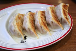 Gyoza pork dumplings on the side