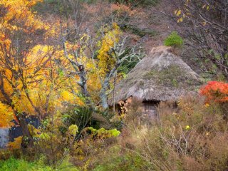 A tiny hut