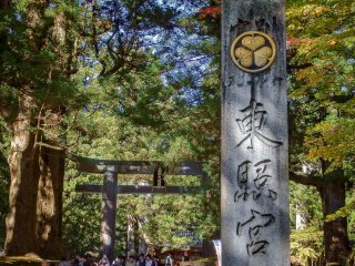 Lối vào nhộn nhịp đến đền Toshogu nổi tiếng thế giới