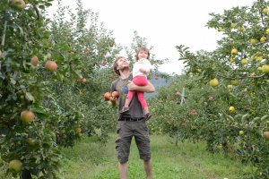 Apple picking with a kid