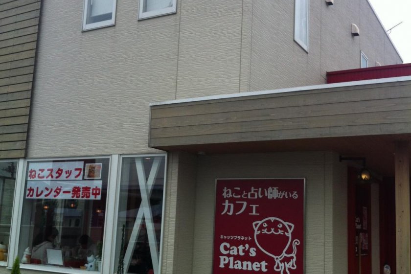 Cat\'s Planet cat cafe in Takasaki