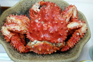 Nemuro's Well-Known Hanasaki Crab