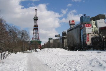 冬季末公園被白雪覆蓋的模樣。