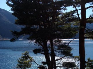 ทะเลสาบไซโกะ ที่ตั้งอยู่ทางตะวันตกของทะเลสาบคะวะกุชิโกะ