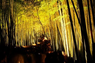 งานเทศกาลโคมไฟอะระชิยะมะในเกียวโต