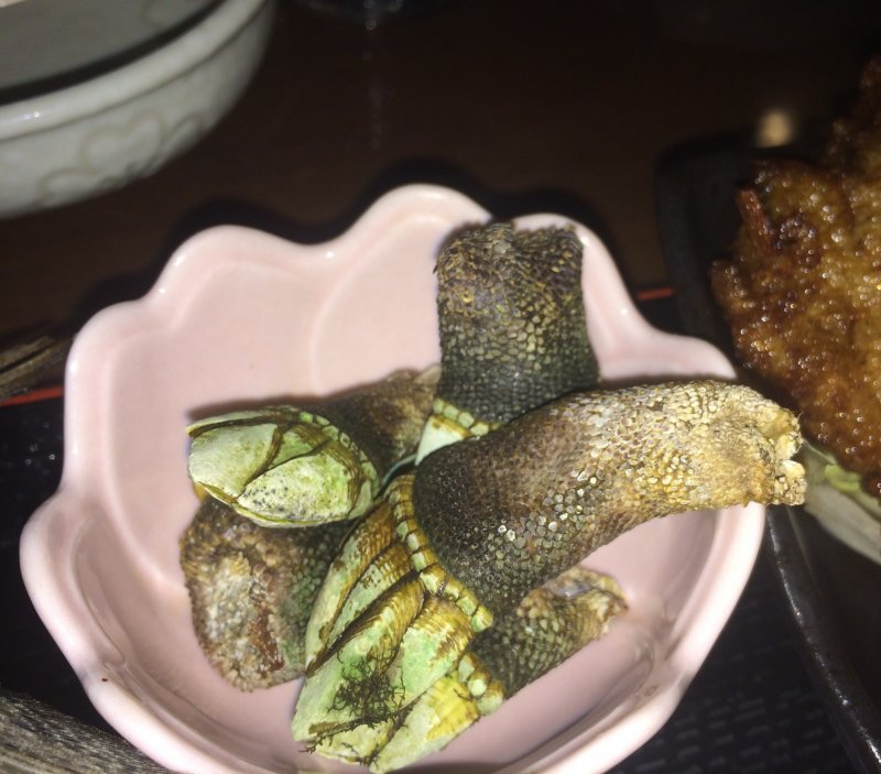 อันนี้มีชื่อว่า "คะเมะ-โนะ-เตะ" (Kame-no-te) แปลว่า มือเต่า อันคืออาหารทะเลอย่างหนึ่ง