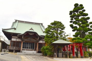 Nearby temple (Gokokuji temple)