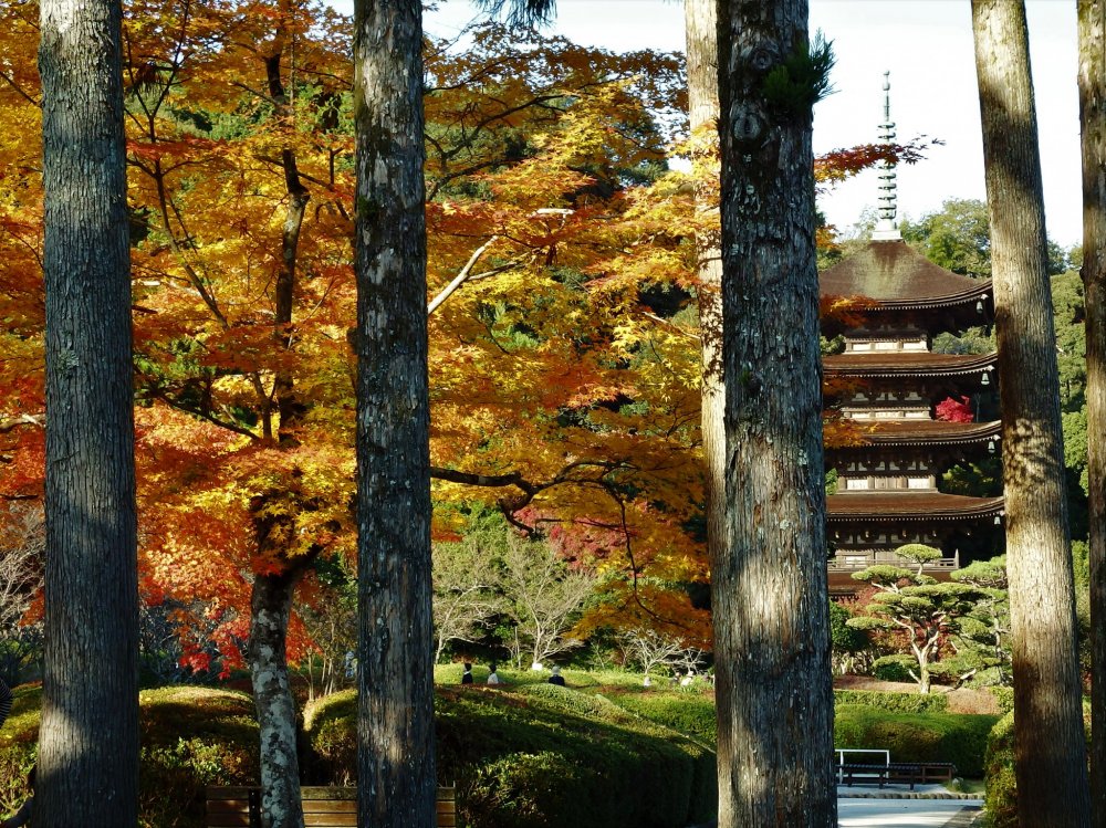 Rurikoji's pagoda dates back to 1404 and was built by the feudal lord of Yamaguchi, Moriharu Ouchi, in commemoration of the death of his brother, Yoshihiro.