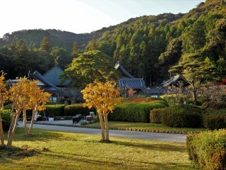Other buildings within the grounds of Rurikoji include a main hall, temple storehouse, bell tower, mini museum, and historic teahouse.