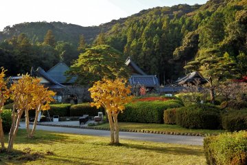 Other buildings within the grounds of Rurikoji include a main hall, temple storehouse, bell tower, mini museum, and historic teahouse.