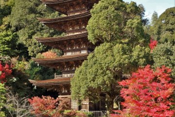 This pagoda is ranked as one of Japan's 'Top 3', along with those in Nara's Horyuji Temple & Kyoto's Daigoji Temple.