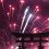 Trải nghiệm ngắm pháo hoa Miyajima