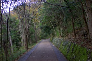 เส้นทางในป่าทั้งสายปูด้วยหินและกว้างขวาง ผู้คนมากมายมาเดินป่ากันที่นี่ นอกจากนี้ยังนักวิ่งอีกด้วย