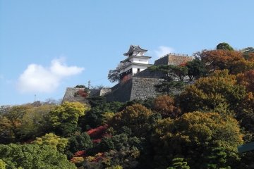 Marugame castle up on its hill