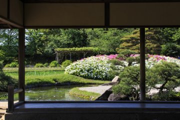 Le Jardin Korakuen d’Okayama