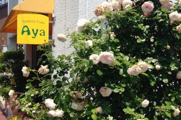 Aya Cafe Uno