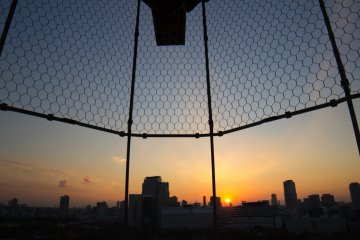 The sunset was gorgeous when viewed from the top of Osaka Castle