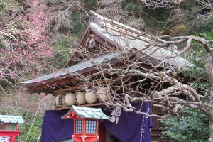  Entrance Egara Tenji Shrine