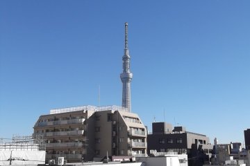 The view of Tokyo Skytree I had from outside my room