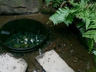 Giếng của Kiyomasa