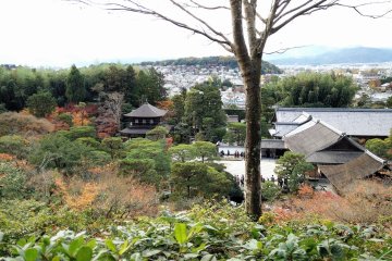 ตรงจุดที่สูงที่สุดของสวน มองเห็นศาลาเงิน อาคารต่างๆ และบริเวณของวัด มองไกลออกไปจะเห็นบ้านเรือนของเกียวโตเป็นฉากหลัง