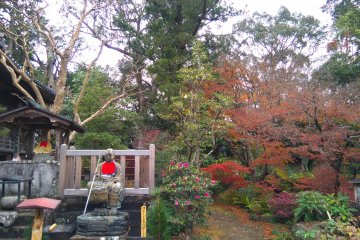 At Kōzan-ji