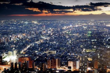 Top 4 Free Things to See in Tokyo