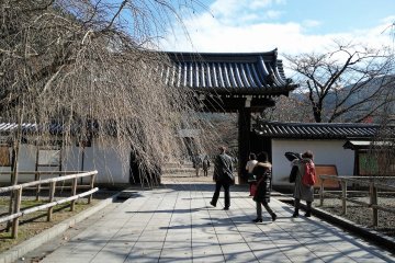 ประตูวัดส่วนหน้าและต้นซากุระในฤดูใบไม้ร่วง