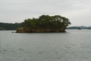 Pine tree clad island in Matsushima Bay taken during a boat cruise.