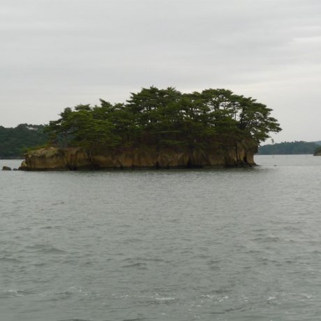 Shiogama to Matsushima Boat Cruise 