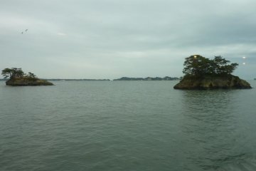 <p>Pine covered islands in Matsushima Bay taken from a cruise boat under overcast skies</p>