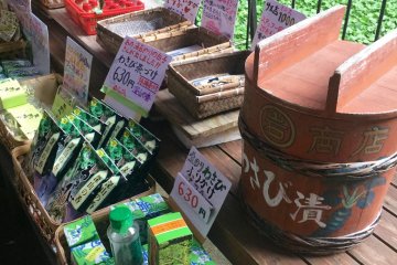 All manner of wasabi products on sale. Bright green wasabi plants in the background.